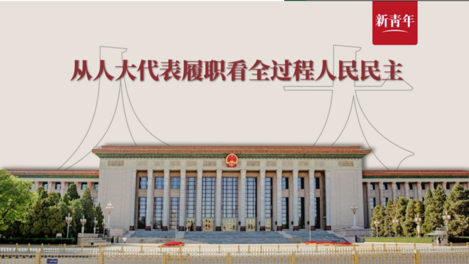 懂了！人大代表这样代表人民